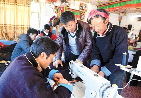 西藏浪卡子县伦布雪乡“联户增收”成扶持项目