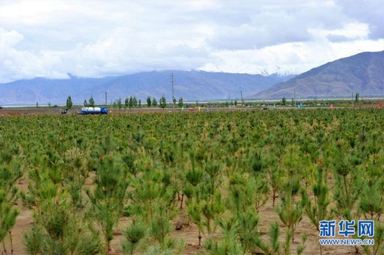 西藏：生态工程建设助力扶贫