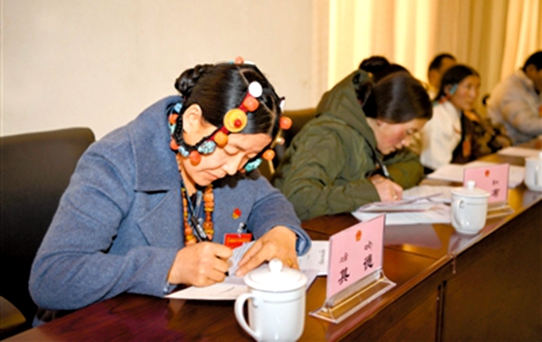 西藏十一屆人大一次會議各代表團繼續分組審議