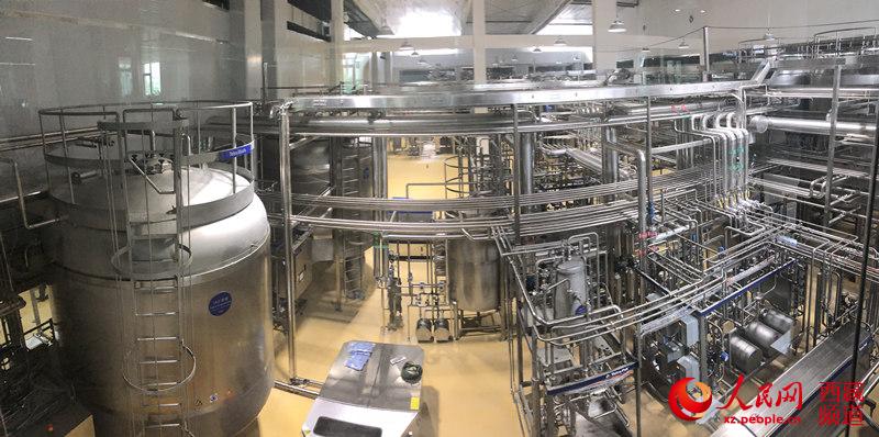 西藏规模最大乳品加工厂正式投产运营