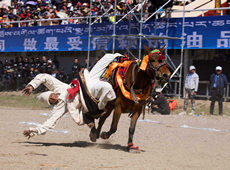 2019羌塘恰青格薩爾賽馬藝術節