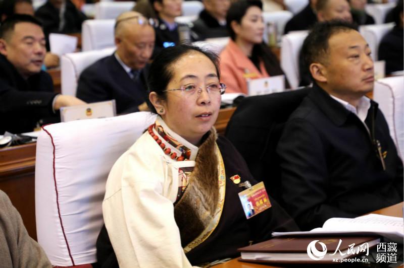 政協第十一屆西藏委員會第三次會議開幕