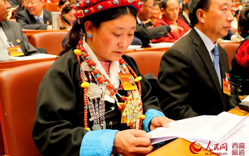 西藏自治區十一屆人大三次會議開幕
