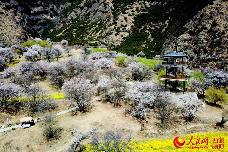 �һ���Ĺ۾�̨���ο�����������ӷ��ľ��ѽǶȡ���ö���