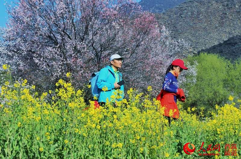 桃花下的游客。 李海霞攝