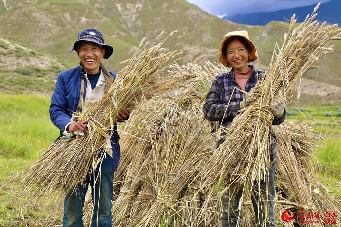 ��������ϲЦ�ա������� �����޲���