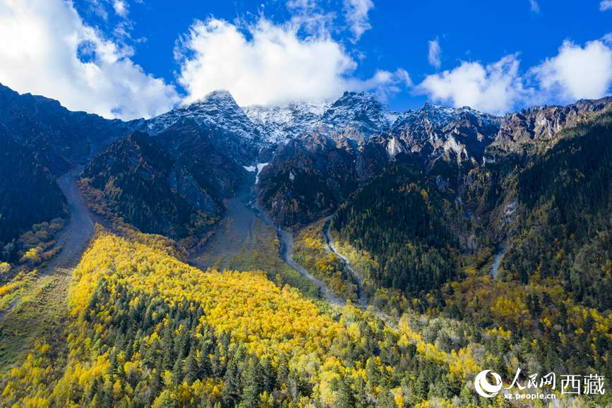 图为西藏林芝市波密县境内，植被随山体升高而变化。