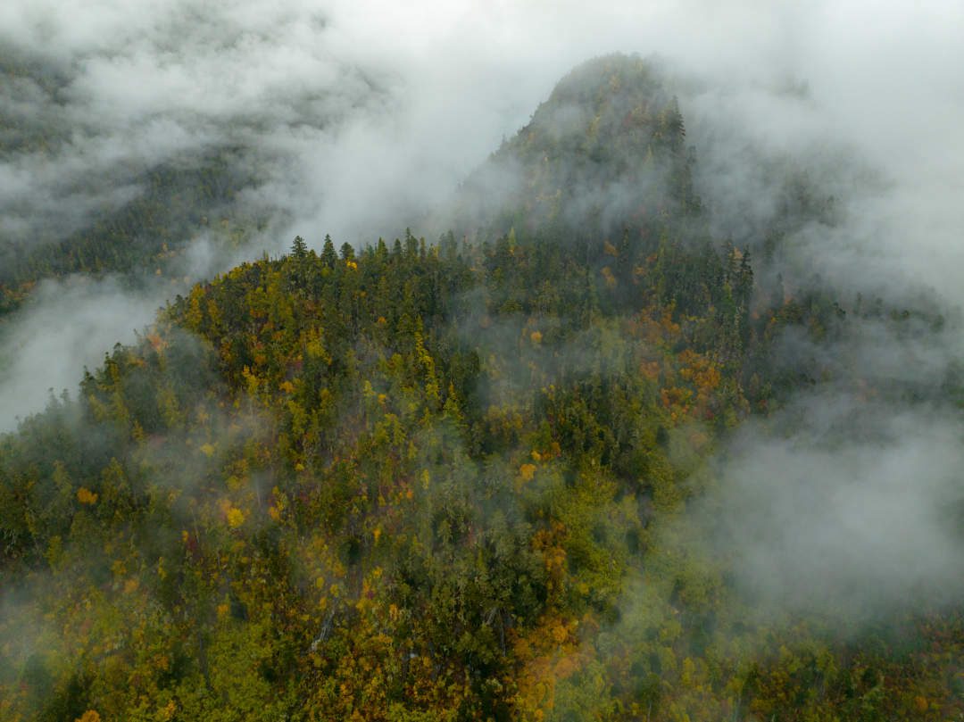 云纏霧繞，層林盡染。