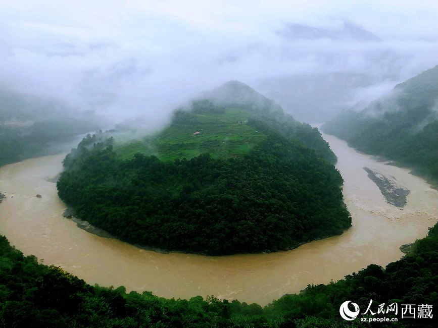 雅鲁藏布江大峡谷蛇形拐弯处，山坡上种满茶树。