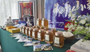 山南市乃东区旅游宣传推介会举行