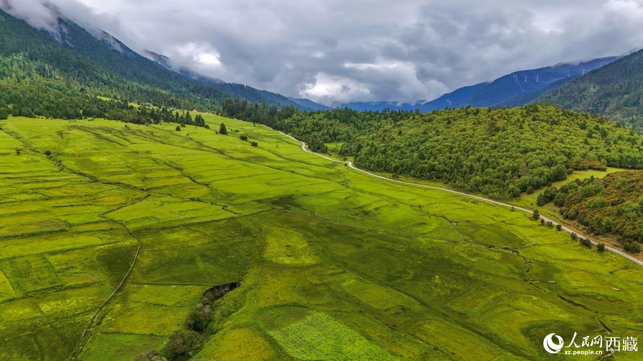 图为航拍高山牧场鸟瞰图。
