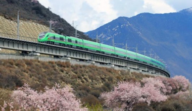 拉林铁路通车四年累计运送旅客超395万人次