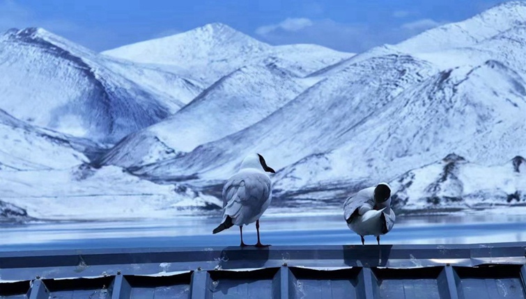 雪后羊湖