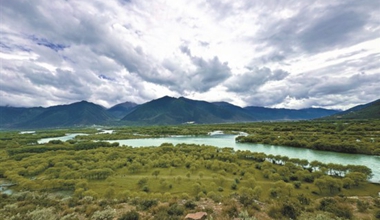 大美濕地映碧水