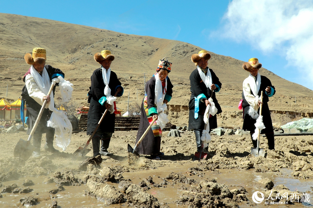 身著傳統服飾的拉東村村民手持鐵鍬疏通水道、引水灌溉，渠水奔涌入田，開啟春耕生產。人民網記者 吳雨仁攝