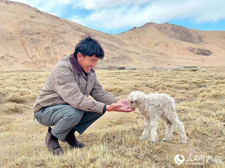 晋美多吉在牧场。人民网记者 李海霞摄