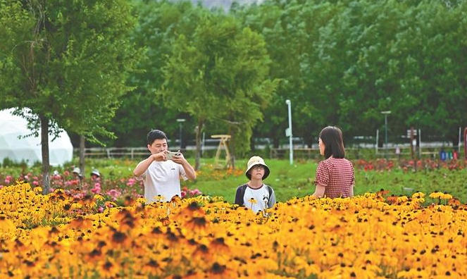 千亩花海醉游客 农旅融合焕生机