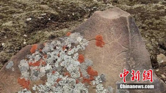 青海省称多县发现海拔5000米上古岩画“爱游戏”(图6)