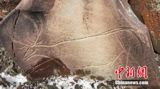 青海省称多县发现海拔5000米上古岩画“爱游戏”(图4)