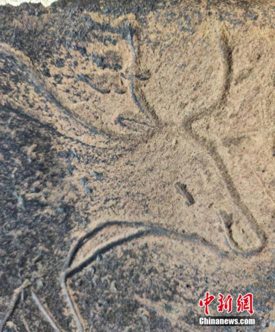 青海省称多县发现海拔5000米上古岩画-im电竞(图7)