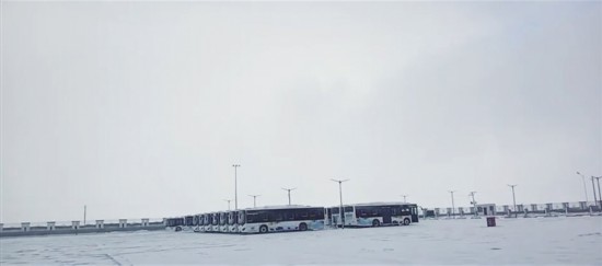 liy0b912_s.jpg