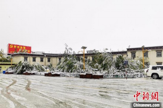西藏多地迎来降雪天气