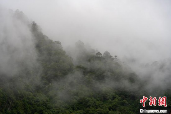 雨后勒布溝的雲霧。　江飛波 攝