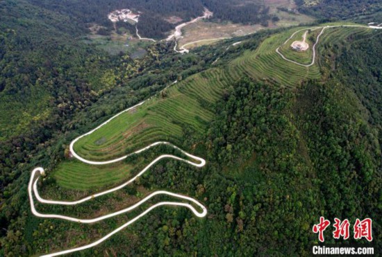 图为西藏林芝市墨脱县背崩乡格林村山顶的景观茶园。(无人机照片) 李林 摄
