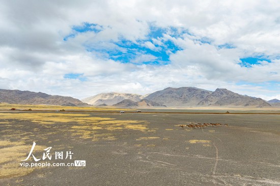 西藏阿里：高原公路建设忙【6】