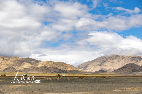 西藏阿里：高原公路建设忙【8】
