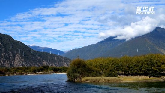 西环球360APP藏雅尼湿地：面山绿化 增绿添彩(图1)