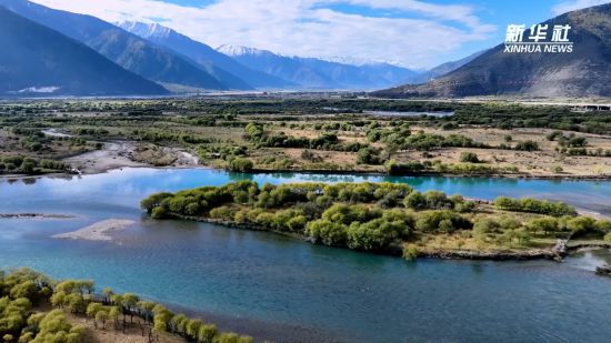 西环球360APP藏雅尼湿地：面山绿化 增绿添彩(图3)